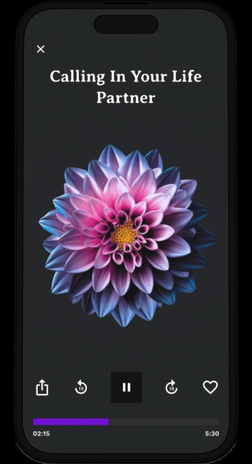 Lucid Vision meditation example - Calling In Your Life Partner